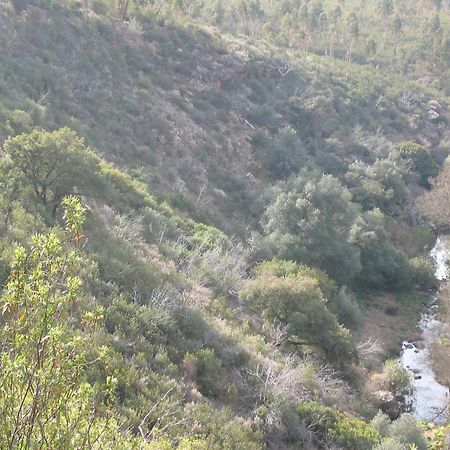 Herdade Do Rio Torto ポルテル エクステリア 写真