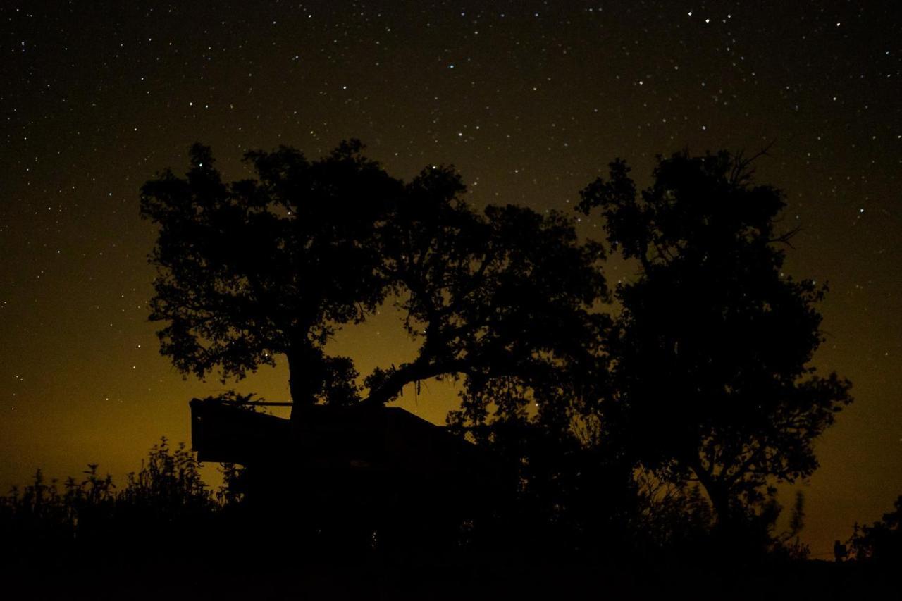 Herdade Do Rio Torto ポルテル エクステリア 写真