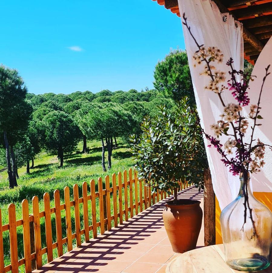 Herdade Do Rio Torto ポルテル エクステリア 写真