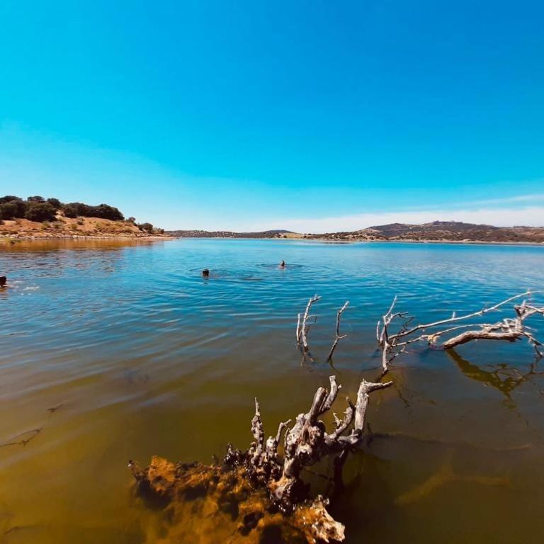 Herdade Do Rio Torto ポルテル エクステリア 写真