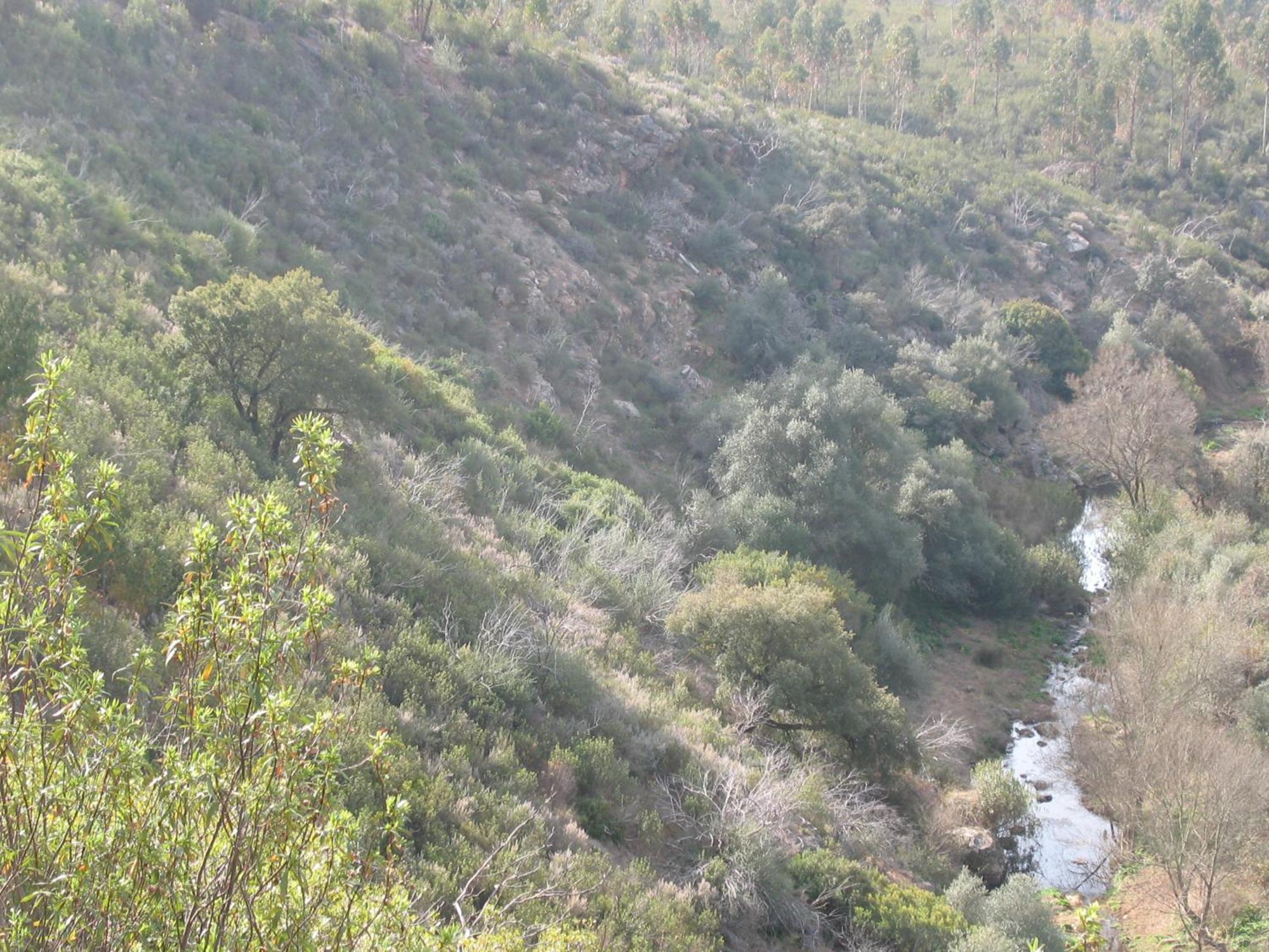 Herdade Do Rio Torto ポルテル エクステリア 写真