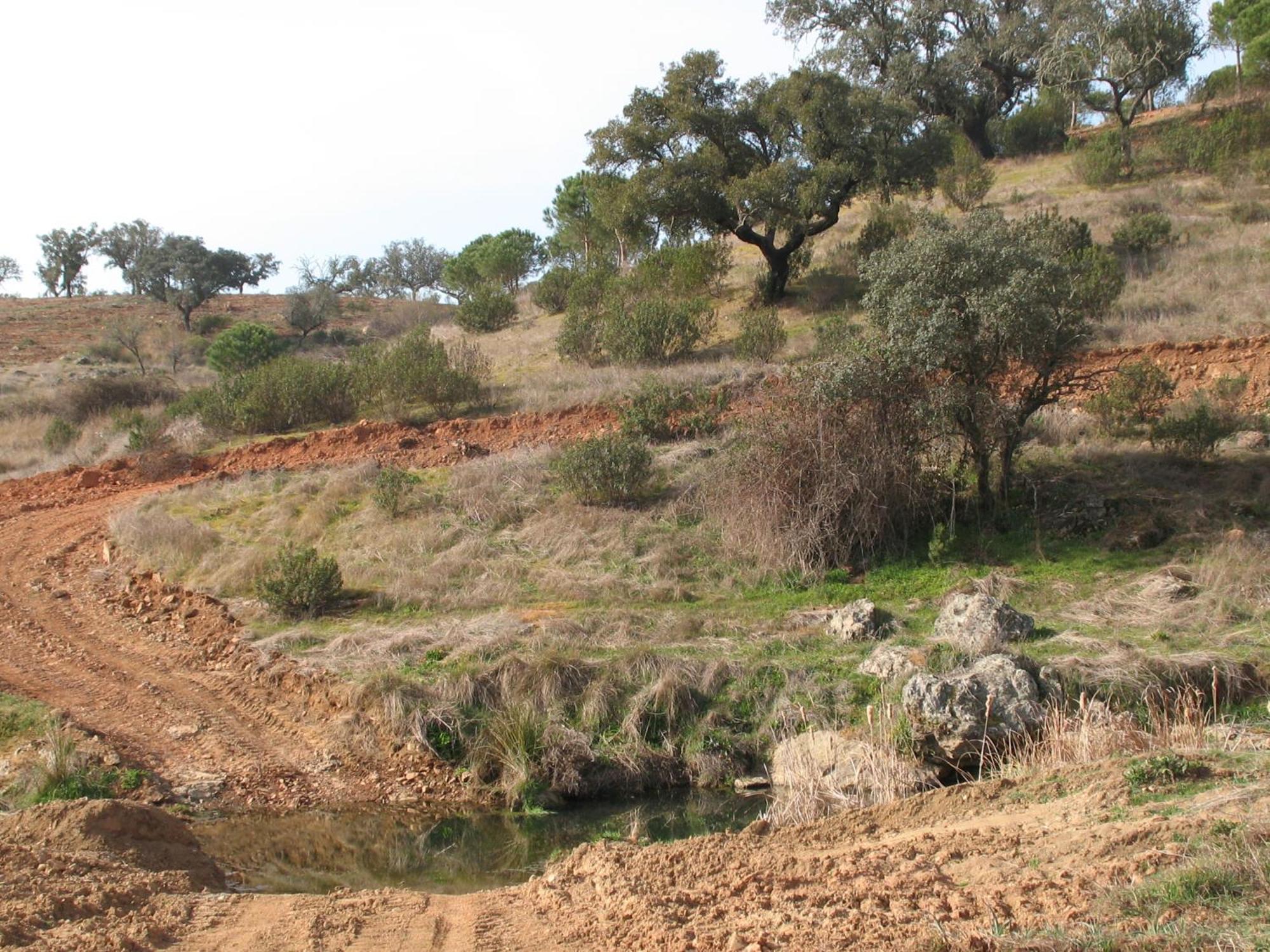 Herdade Do Rio Torto ポルテル エクステリア 写真