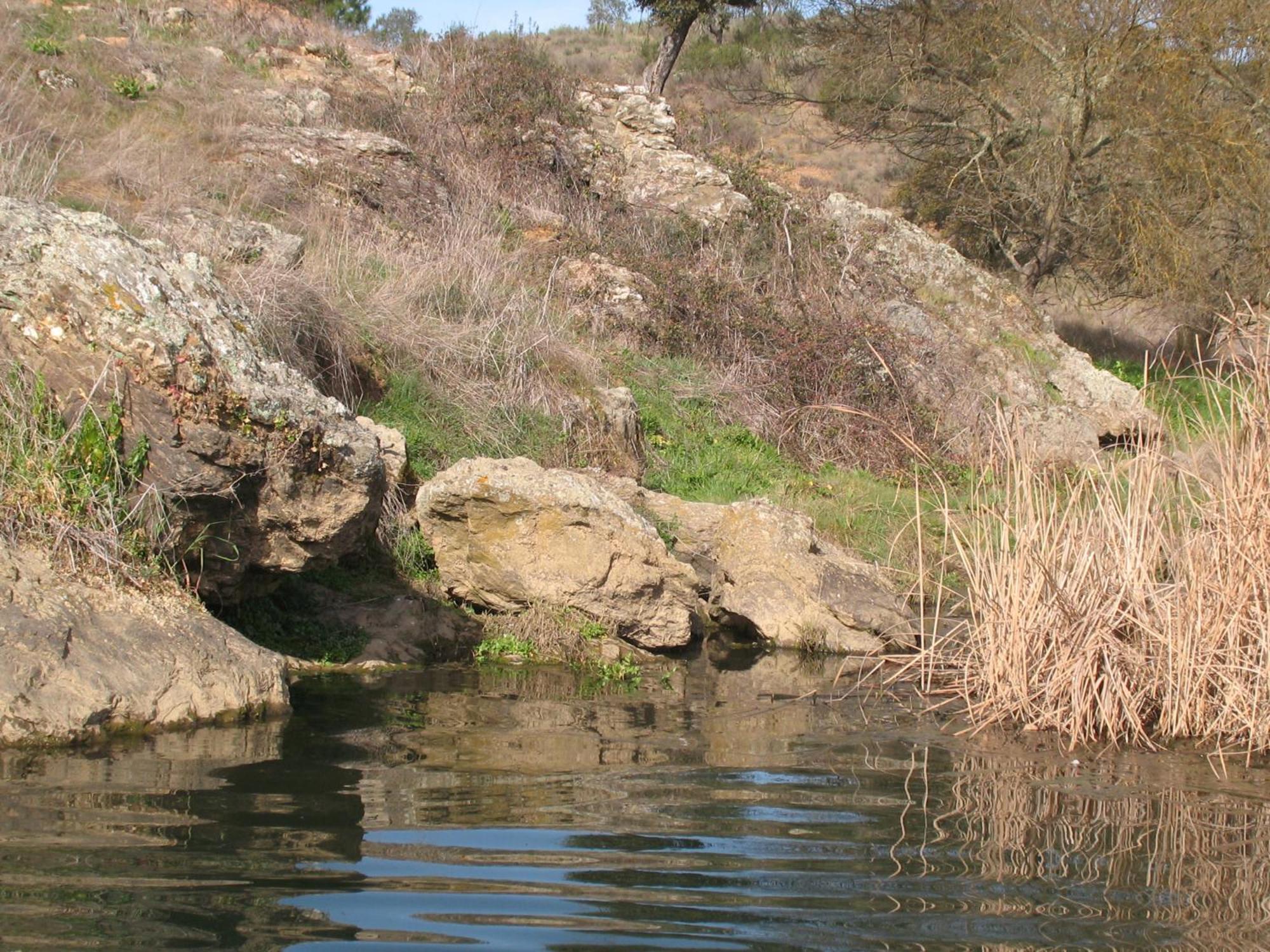 Herdade Do Rio Torto ポルテル エクステリア 写真