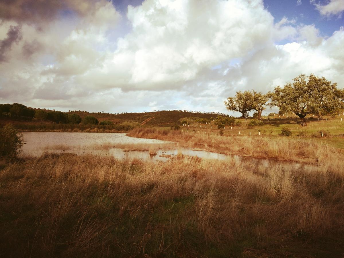 Herdade Do Rio Torto ポルテル エクステリア 写真